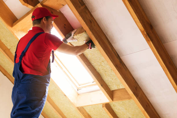 Types of Insulation We Offer in Moon Lake, FL